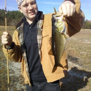 Meet your Posher, Gavin